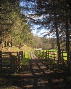 The Wray Valley Trail between Bovey Tracey and Moretonhampstead going through Lustleigh close by Three Pound Cottage the self catering dartmoor holiday rental