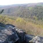 Stunning view over granite outcrop across lush wooded valley from Lustleigh Cleave